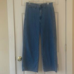Madewell Emmett Wide Leg Crop Jeans in Rosalie Wash Size 29 Tall